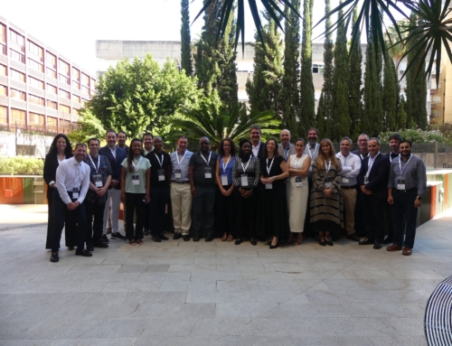 TERRAVISION at the GAIA-TSF Stakeholder Workshop in Seville